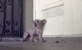 ������30�Ŷ�ͼ���Ҿ����ú����