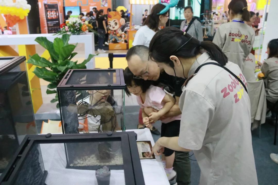 ������ҹ������ޣ���������һ��Ҫ������