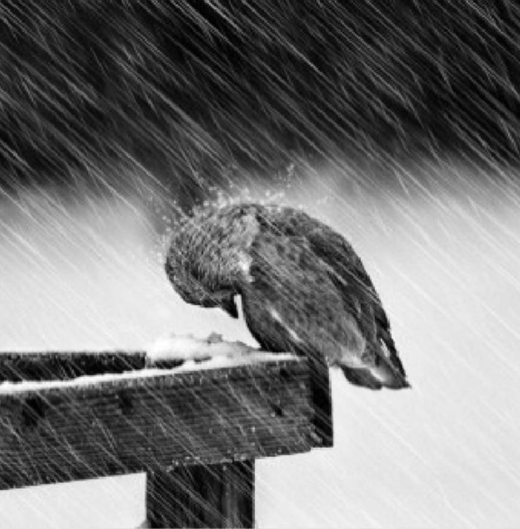 ������30�Ŷ�ͼ���Ҿ����ú����