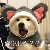 李佳琦为了50w公开diss血橙面膜被代购手撕?真相是…