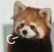 李佳琦为了50w公开diss血橙面膜被代购手撕?真相是…