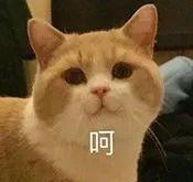 李佳琦为了50w公开diss血橙面膜被代购手撕?真相是…