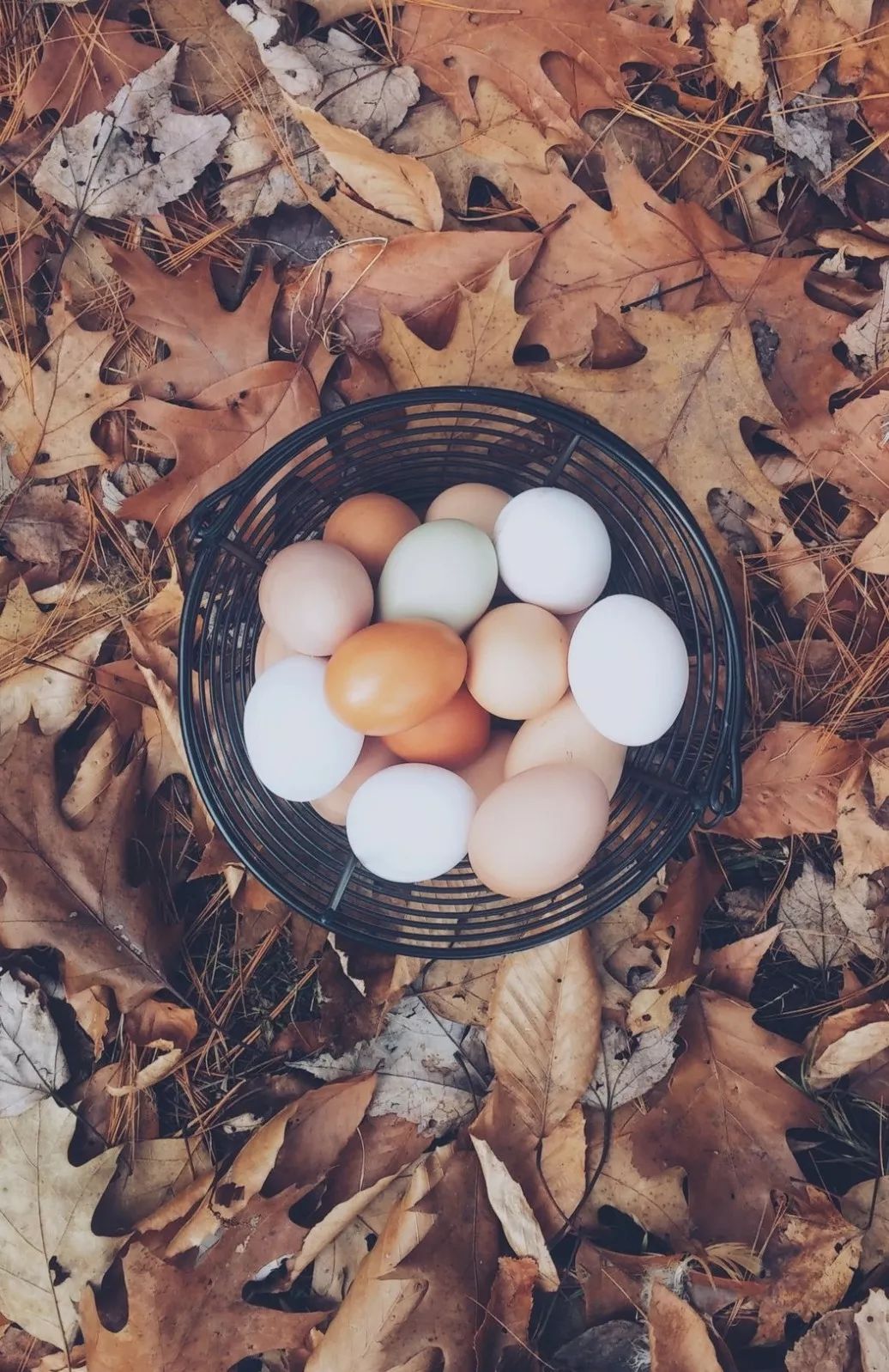 ���� | ���̻̽��ҵ�����顣