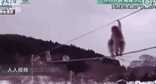 ͻ��������ɧ���������ӵ�������������������������������������