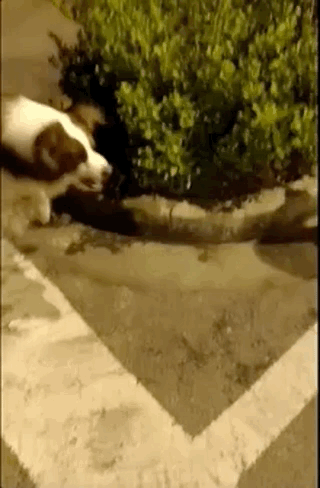 ͻ��������ɧ���������ӵ�������������������������������������