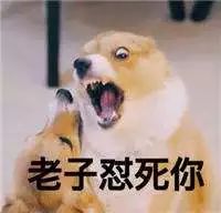 ͻ��������ɧ���������ӵ�������������������������������������