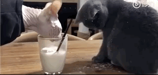 ͻ��������ɧ���������ӵ�������������������������������������