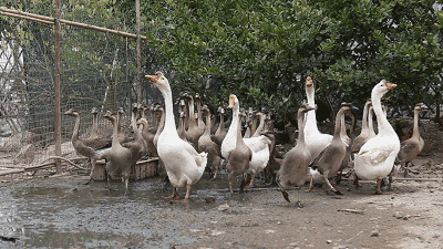 ͻ��������ɧ���������ӵ�������������������������������������