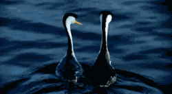 ͻ��������ɧ���������ӵ�������������������������������������