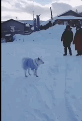 ͻ��������ɧ���������ӵ�������������������������������������