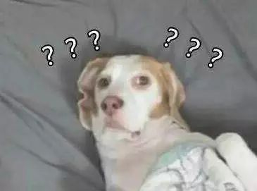 ͻ��������ɧ���������ӵ�������������������������������������