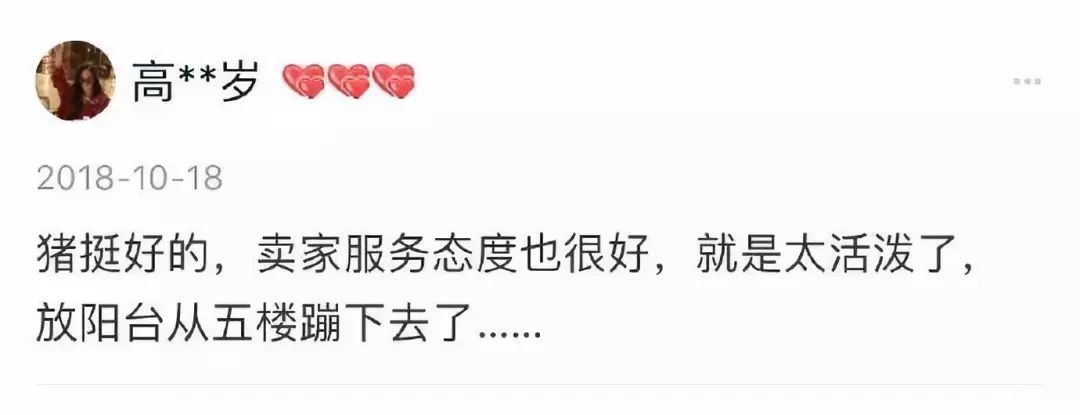 ͻ��������ɧ���������ӵ�������������������������������������