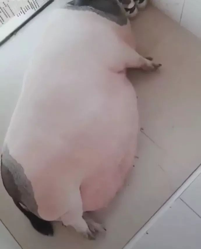 ͻ��������ɧ���������ӵ�������������������������������������