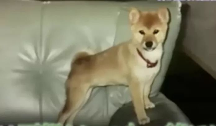 һ��19�꣬һ��81�꣺����ȫ���磬Ҳ�������ǰ��㡭��