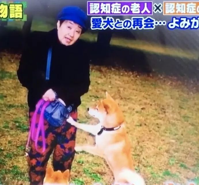 һ��19�꣬һ��81�꣺����ȫ���磬Ҳ�������ǰ��㡭��