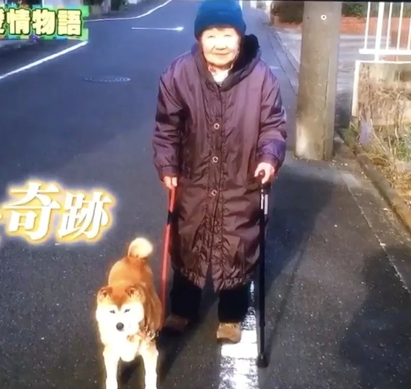 һ��19�꣬һ��81�꣺����ȫ���磬Ҳ�������ǰ��㡭��