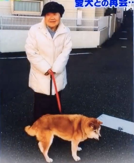 һ��19�꣬һ��81�꣺����ȫ���磬Ҳ�������ǰ��㡭��