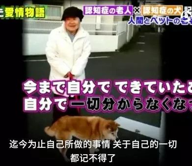 һ��19�꣬һ��81�꣺����ȫ���磬Ҳ�������ǰ��㡭��