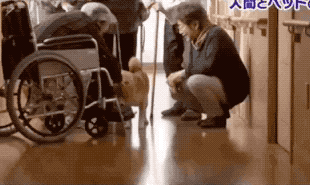 һ��19�꣬һ��81�꣺����ȫ���磬Ҳ�������ǰ��㡭��