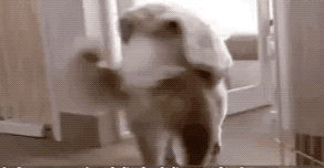 һ��19�꣬һ��81�꣺����ȫ���磬Ҳ�������ǰ��㡭��