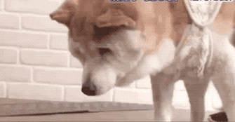 һ��19�꣬һ��81�꣺����ȫ���磬Ҳ�������ǰ��㡭��