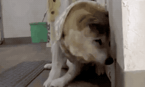 һ��19�꣬һ��81�꣺����ȫ���磬Ҳ�������ǰ��㡭��