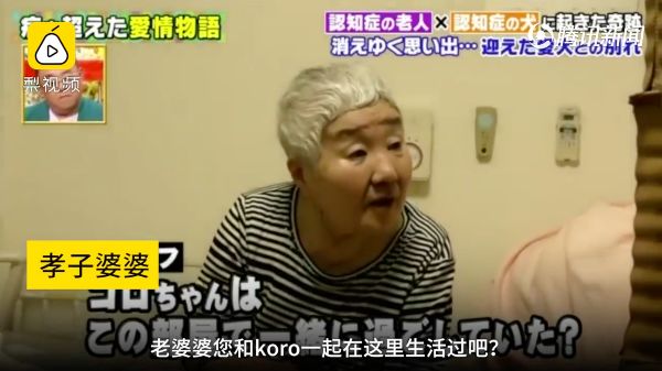 һ��19�꣬һ��81�꣺����ȫ���磬Ҳ�������ǰ��㡭��