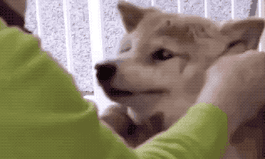 һ��19�꣬һ��81�꣺����ȫ���磬Ҳ�������ǰ��㡭��