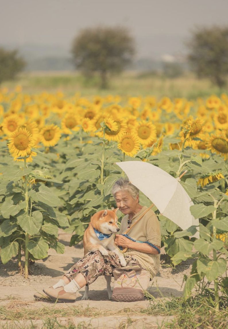 һ��19�꣬һ��81�꣺����ȫ���磬Ҳ�������ǰ��㡭��