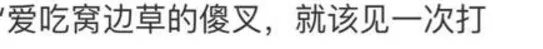 2010Уϣ90һν˵Ķ