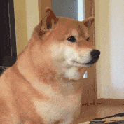 林允拆完礼物花式吐槽,吴谨言送完直接不敢承认了···