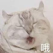 林允拆完礼物花式吐槽,吴谨言送完直接不敢承认了···