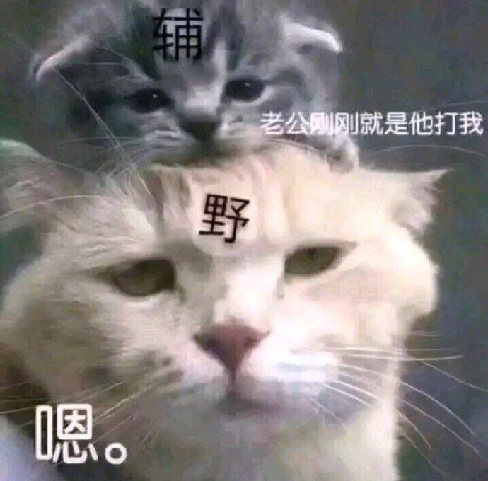 6ddb06d2gy1g323mfywiaj20ku0kj4au