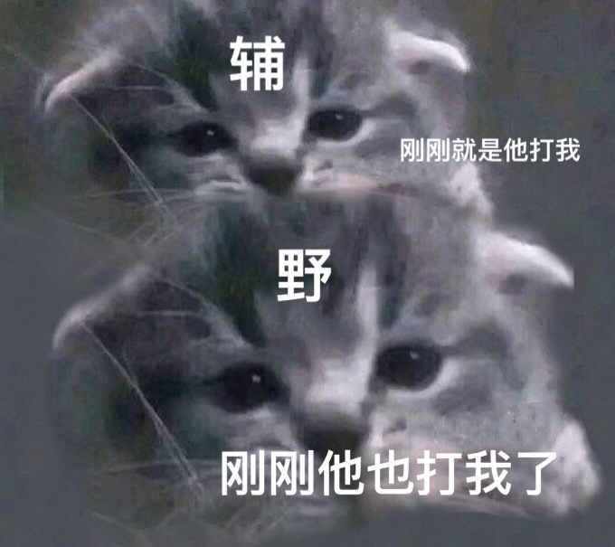 6ddb06d2gy1g323me74d6j20iw0gtn03