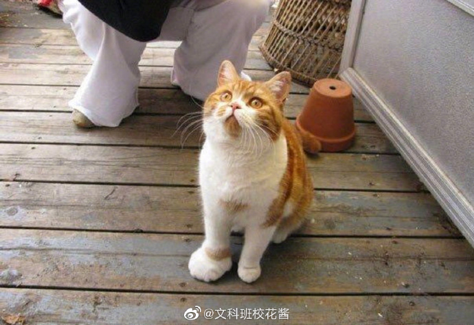 86b36fb5ly1g32zfrcq45j20yi0nqaxo