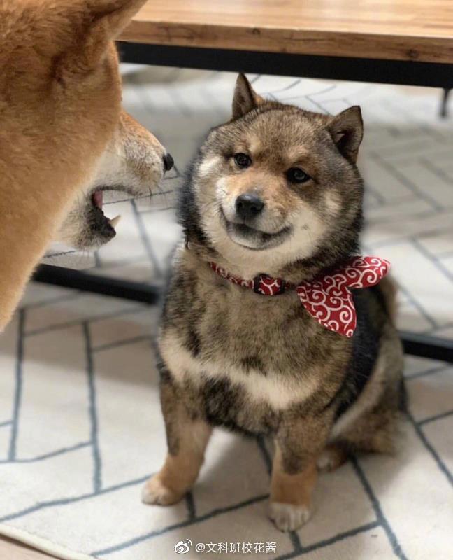 86b36fb5ly1g3450c96fcj20i00m8406