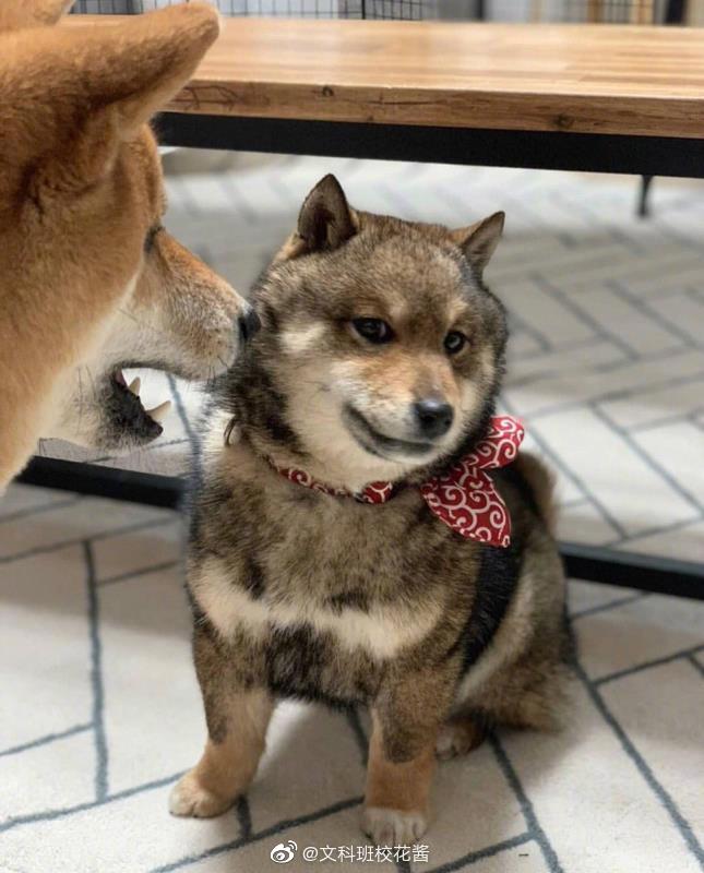 86b36fb5ly1g3450beu4jj20hx0m8dhn