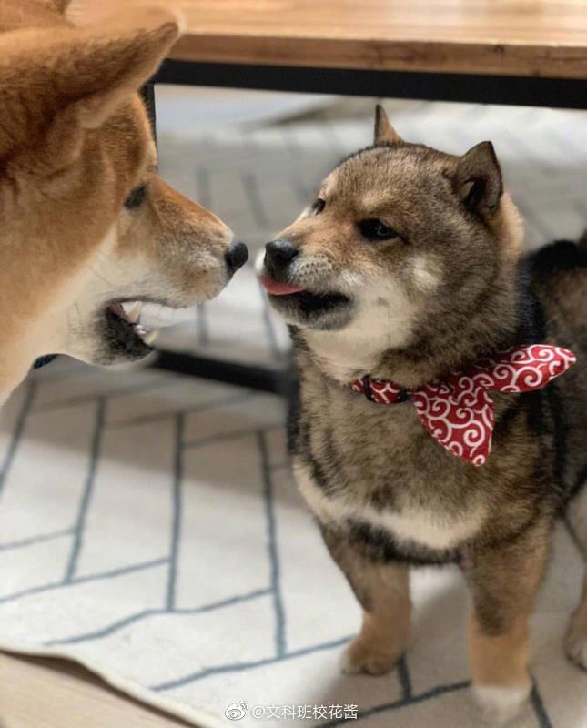 86b36fb5ly1g3450d6uizj20hx0m8abn