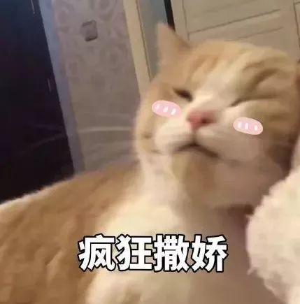 120斤的刘涛为减肥直播喝不明红色液体?而90斤的张雪迎脚踝比脖子粗...