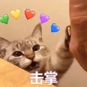 120斤的刘涛为减肥直播喝不明红色液体?而90斤的张雪迎脚踝比脖子粗...