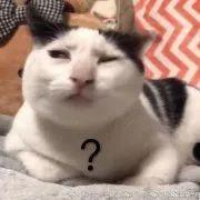 120斤的刘涛为减肥直播喝不明红色液体?而90斤的张雪迎脚踝比脖子粗...