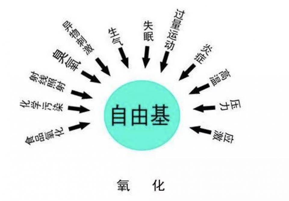120斤的刘涛为减肥直播喝不明红色液体?而90斤的张雪迎脚踝比脖子粗...