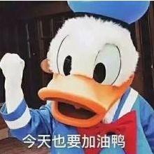 46ꡰϱרҵŭ20Ⱦݵڶ