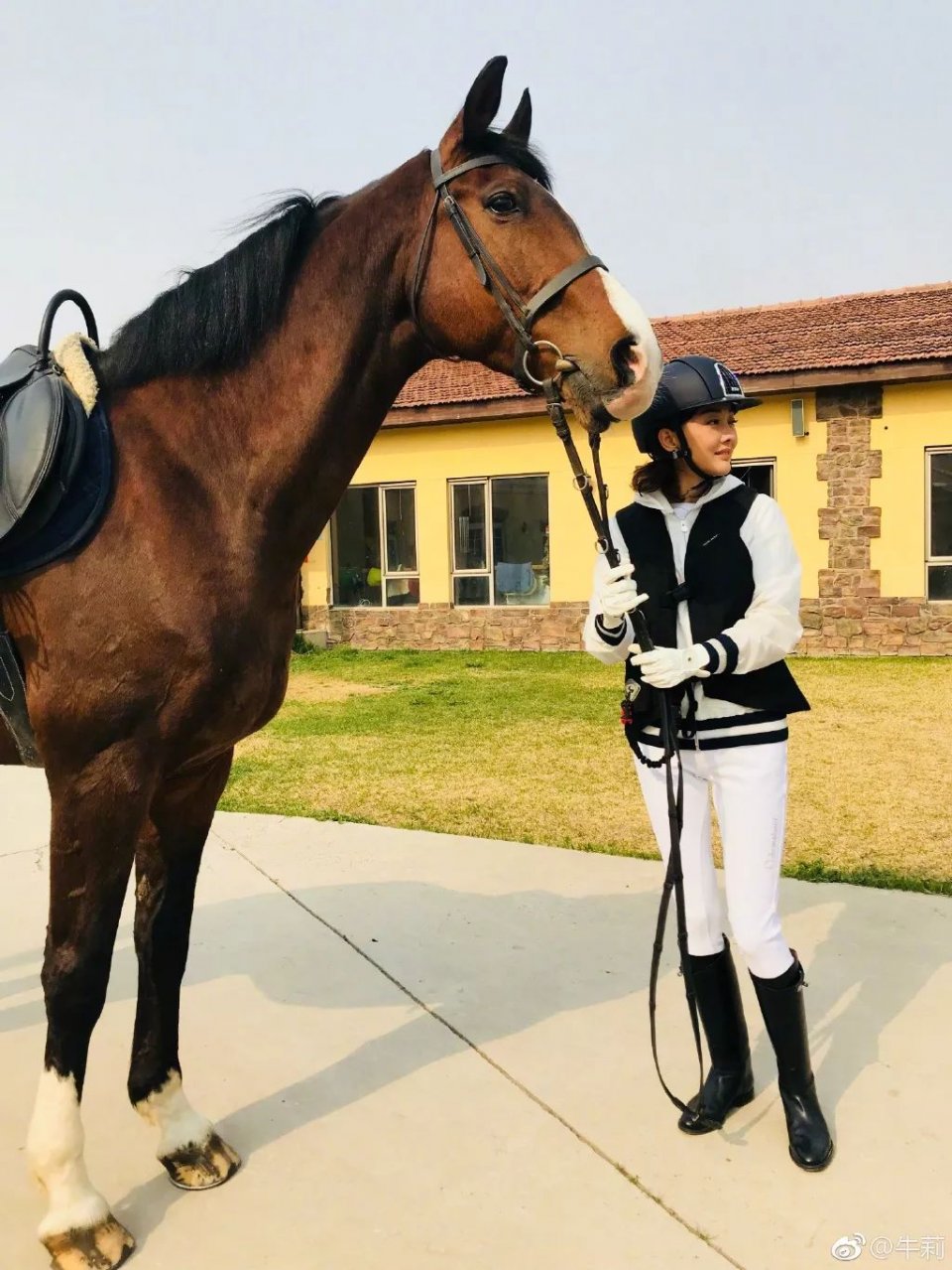 46ꡰϱרҵŭ20Ⱦݵڶ