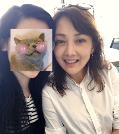 46ꡰϱרҵŭ20Ⱦݵڶ