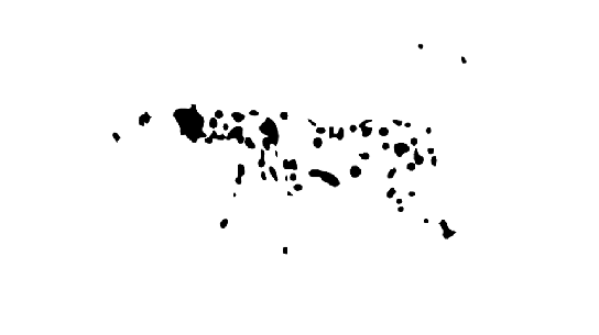 关晓彤全身擦粉实锤了!高清镜头下耳朵后面黑成这样···