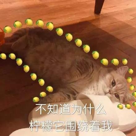 ˣǰ
