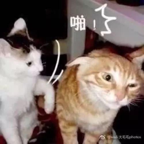 ͮô̺һЦ