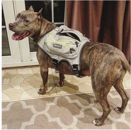 ���Ŵ���ɱ��ֱ������������лл�㣬�����ҵ�����