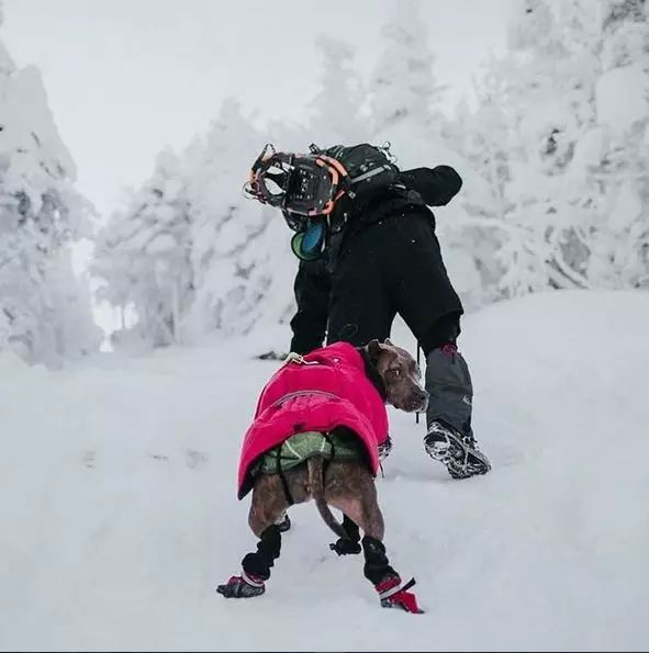 ���Ŵ���ɱ��ֱ������������лл�㣬�����ҵ�����